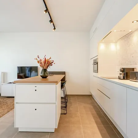 Huswell - Modern And Stylish With Terrace * 奥斯滕德
