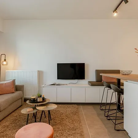 Huswell - Modern And Stylish With Terrace 公寓 奥斯滕德