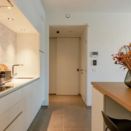 Huswell - Modern And Stylish With Terrace 奥斯滕德